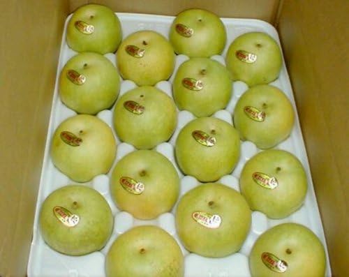 京都産　 京たんご梨 二十世紀 10kg　大玉28～32個入り