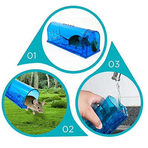 Blinc B07PDPVZBP Humane Mouse Trap | Catch And Release Mouse Traps That Work thumb #1