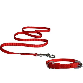 Pets Empire Puppy/Cat Leash with Collar Set (Color May Vary)