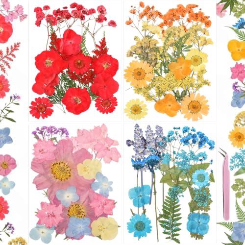 4 Packs Dried Pressed Flowers for Resin Natural Dried Flowers for Crafts Real Pressed Flowers Dry Leaves Bulk for Epoxy Resin Jewelry Scrapbook Picture Frame Bookmarks Candle & Soap Making
