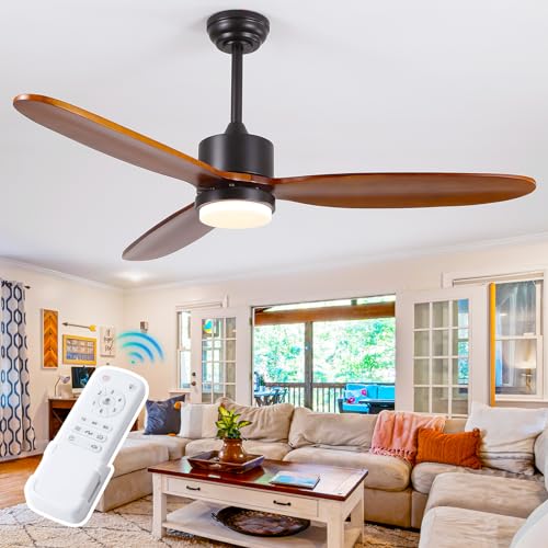 Dannilong 60 Inch Outdoor/Indoor Ceiling Fan, 3 Blades Fan with Lights
