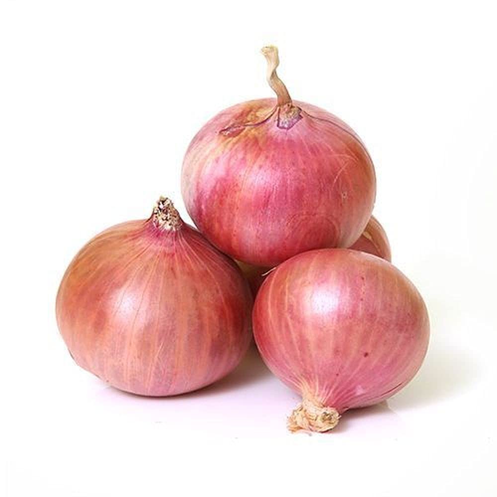 live green onion seeds (10gm)