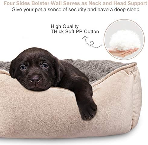 Rectangle Dog Bed