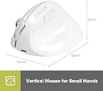 DELUX Wireless Vertical Mouse Rechargeable, Small Silent Ergonomic Mouse, 2.4G/Bluetooth Dual-Mode, 6 Buttons and 4000 DPI, Computer Optical Mouse Reduce Wrist/Hand Strain (M618mini-White)