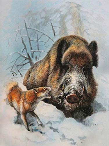 Diamond Painting Kit 5D Cinghiale,Pittura Diamante Kit complet Bambini Adulti Fai Da Te Strass Ricamo Punto Croce Diamond Arts Craft per la Decorazione Della Parete di Casa Square Drill,30x30cm