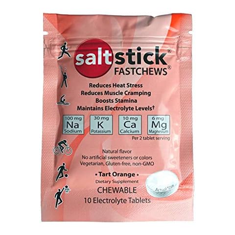 SaltStick Fastchews, Electrolyte Replacement Tablets for Rehydration, Exercise Recovery, Youth & Adult Athletes, Hiking, Sports Recovery, 10ct Variety 4-Pack Cover