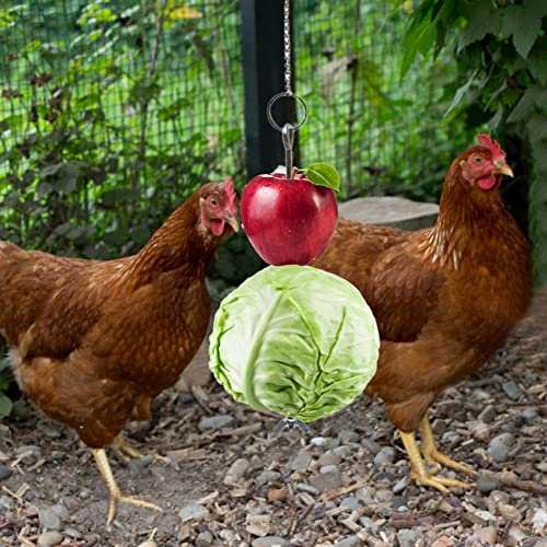 Brinquedo alimentador de pássaros - Frango Legume Pendurado Brinquedo Alimentador | Brinquedo alimen