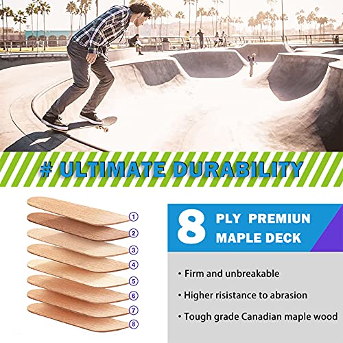 Skateboard, 31 x 8 inch compleet skateboard, 8-laags esdoorn houten dek dubbele trap standaard skateboards voor kinderen… - Afbeelding 5