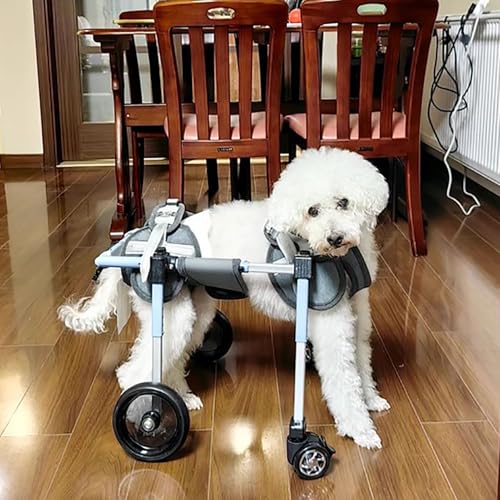 Silla de ruedas para perros con problemas en patas traseras y ayuda ajustable 2