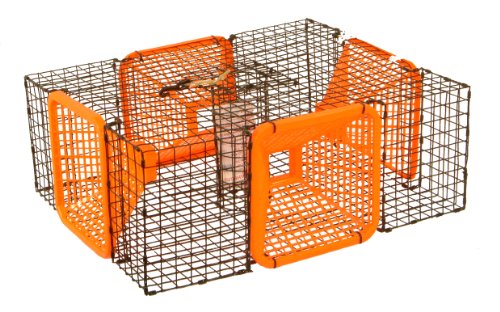 Protoco 19 x 24-Inch Shrimp Trap