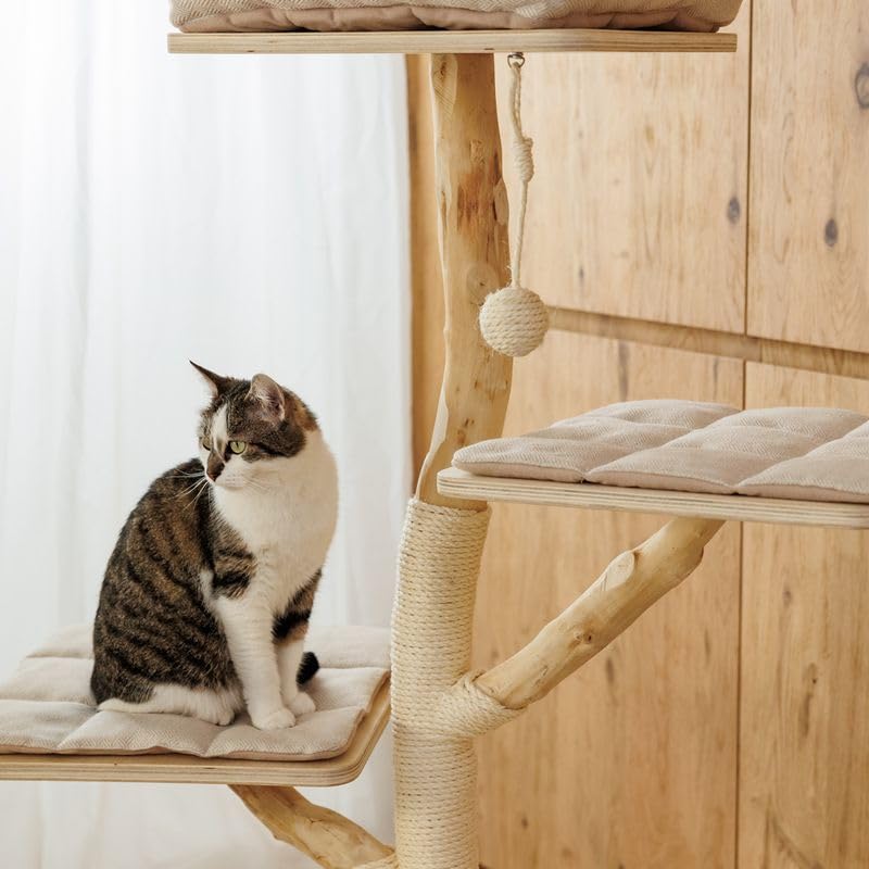 Brixen Kratzbaum für Katzen | natürliche Holzstämme | jedes Stück EIN Unikat | Höhe: 130cm
