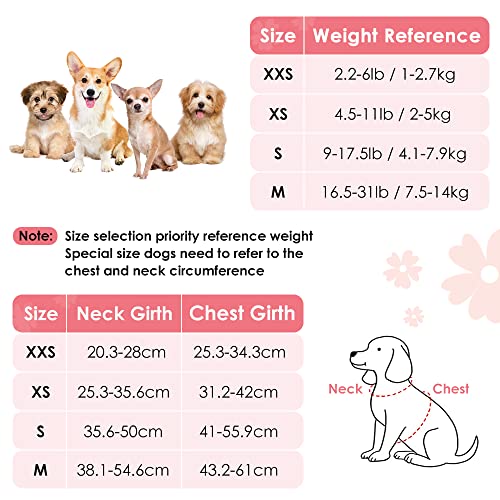 Eyein Daisy Pattern Dog & Cat Harness & Lead Set, Lightweight Adjustable Soft, No Pull Escape Proof - Image 2