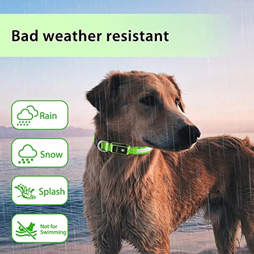 PCEoTllar Light Up Collar - Rechargeable Flashing LED Collar, Adjustable for Small to Large Dogs, Waterproof, 7 Colors Glowing, Green (8 Modes) - M - Image 6