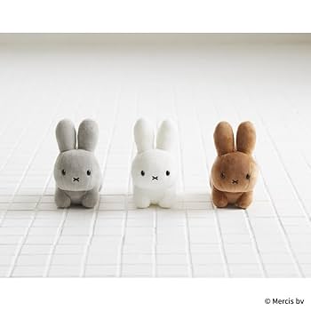 ウミウサギ色々29匹 ネザーランドドワーフ(M245) | うさぎカフェミニヨン