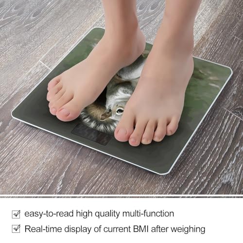 Báscula digital inteligente para baño con pantalla grande miniatura 5