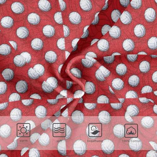 Boys' Exclusive Briefs Toddler Underwear 95% Combed Cotton Boxerbriefs 2T Red and White Polka Dot 453