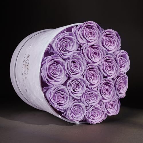 17 Flowers in a Luxury Suede Box, Birthday Gifts for Women, Preserved Flowers, Mothers Day Roses Gift for Mom, Lavender
