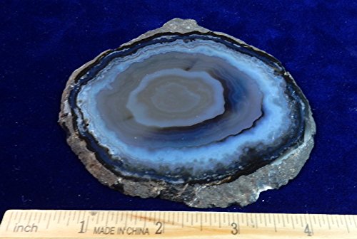 Beautiful Polished Natural Color Agate Coaster Set From Brazil 3.5-4 Inches Wide, With Rubber Feet, 4Pc Gift Set, Certificate Of Authenticity & Bonus #TOP1