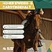 ALL-WIN Horse Wafer Alfalfa + Avena 18 kg | Getreidefreies Pferdefutter ohne Zuckerzusatz | Mit Luzerne & Grünhafer – Fördert Verdauung, Kautätigkeit & Muskelaufbau | Natürliches Ergänzungsfutter
