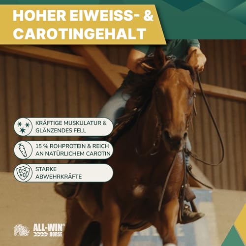 ALL-WIN Horse Wafer Alfalfa + Avena 18 kg | Getreidefreies Pferdefutter ohne Zuckerzusatz | Mit Luzerne & Grünhafer – Fördert Verdauung, Kautätigkeit & Muskelaufbau | Natürliches Ergänzungsfutter