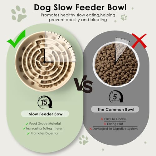 Anti Schling Napf für Hunde und Katzen I Slow Feeder I Leckmatte Hund mit großem Saugnapf I Schleckmatte Katze für Nassfutter (Hellgrün)