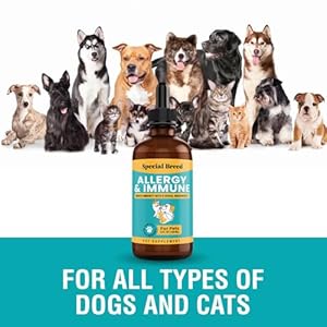 Allergy-Immune-with-Elderberry-Allergy-Relief-for-Cats-and-Dogs-Anti-Itch-Treatment-Relief-for-Pet-Allergies-Immune-Support-for-Cat-or-Dog-4-oz - Cucciolini Doodles   Allergy-Immune-with-Elderberry-Allergy-Relief-for-Cats-and-Dogs-Anti-Itch-Treatment-Relief-for-Pet-Allergies-Immune-Support-for-Cat-or-Dog-4-oz