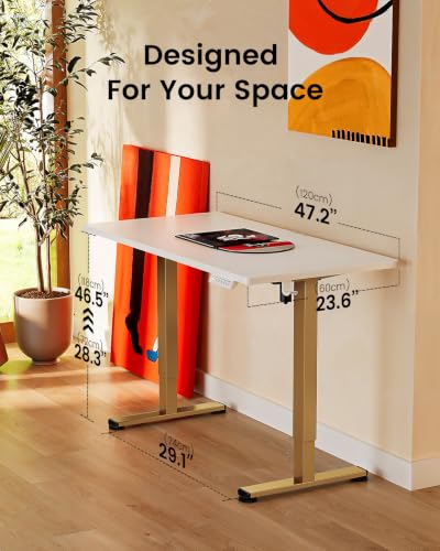 Image of ErGear Height Adjustable Electric Standing Desk, 48 x 24 Inches Sit Stand up Desk, Memory Computer Home Office Desk, White+Gold