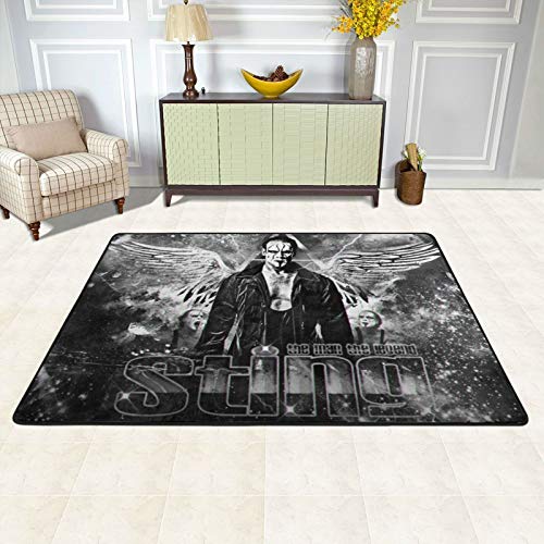 W_We Elimination1 Area Rug for Living Room Bedroom Floor Mat Doormats Carpet for Home Decor, 36 X 24 in & 72 X 48 in