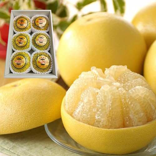 [\tE12{蔭\] mY U Ԃ񂽂 iN (2kg 3~7) LSݓXɒ It[c ۂĂƈ炵ۂ݂ŉ₩ȉʔ̐U v[g ʕMtg iǗ ①3`6Ǘ 퉷z