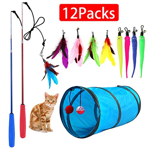 M JJYPET Retractable Cat Toy Wand,12 Packs Interactive Cat Feather Toys,9 Assorted Teaser