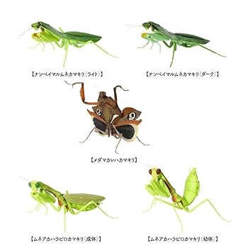 Amazon.co.jp: いきもの大図鑑 かまきり 04 全5種 ナンベイマル