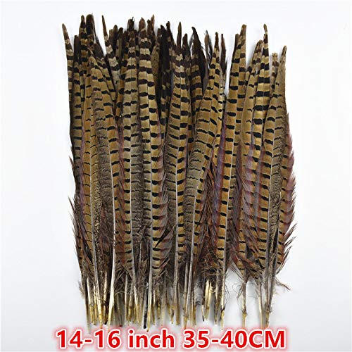 Sprzedaż hurtowa 10-75 cm 4-30 cali naturalne pióra bażanta do rękodzieła dekoracje ślubne pióra bażanta karnawałowego - 65-70 cm 26-28 cali, 200 szt