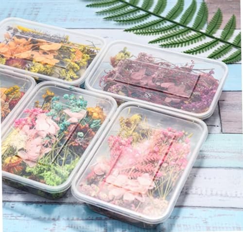 Image of VRB DecTM 2 Box Natural Real Dried Flowers for Art Craft /rasin Art kit - Mixed & Multicolor for Soap, Artificial Candles,Scrapbook, DIY, Resin Tray Jewellery, Pendant (2 Box - Multicolor)