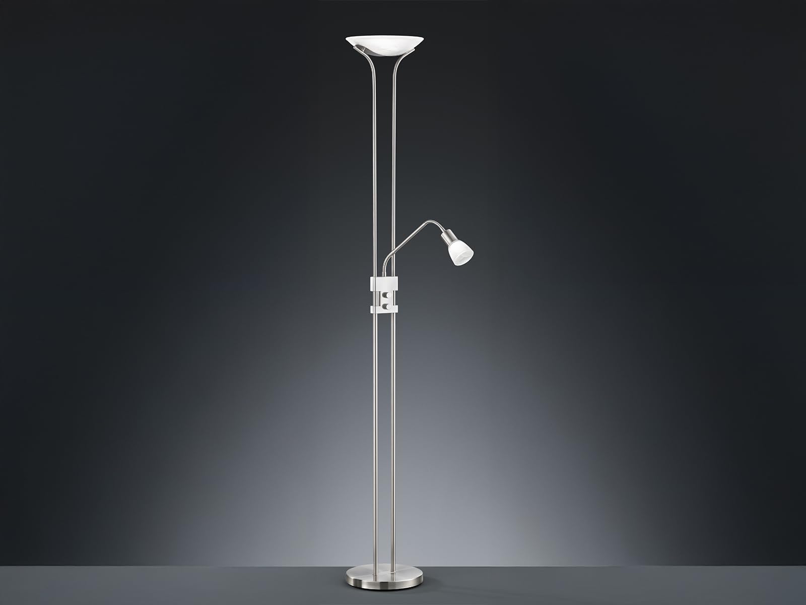 Trio 421910207 Lampada Piantana a LED