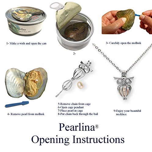 Pearlina Sterling Silver Owl Necklace Cage Cultured Pearl in Oyster Wish pearl Set 18"4