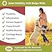 Wholistic Pet Organics Joint Mobility GLM - 1 Lb - Glucosamine for Dogs Chondroitin Supplement Green Lipped Mussels - Joint Supplement for Dogs - Arthritis Pain Reliever for Large & Small Breeds