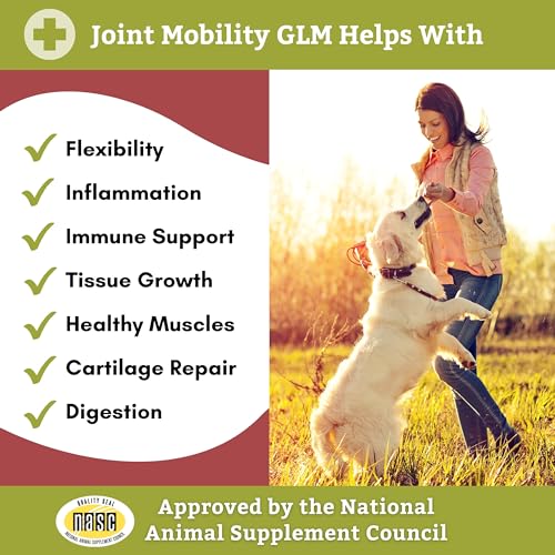 Wholistic-Pet-Organics-Joint-Mobility-GLM-Dog-Joint-Health-Supplement-Glucosamine-Chondroitin-for-Dogs-Arthritis-Pain-Relief-Hip-and-Joint-Support-Green-Lipped-Mussels-for-Dogs-Large-Breed