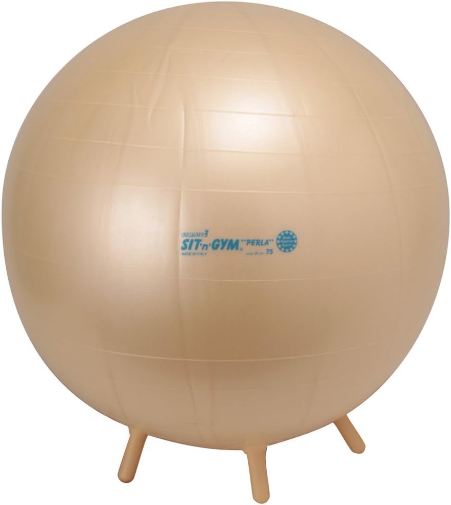 大流行中 レッド Danno Gymnic ソフトジム バランスボール ダンノ 送料無料 ギムニク メール便