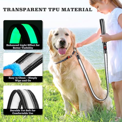 1,2 m LED Hundeleine, Leuchtende Hundeleine mit 7 Leuchtmodi, Reflektierend, Glow in The Dark, Beidseitig Leuchtend, USB Wiederaufladbar, Gepolsterter Griff, Nachtsicherheit für Kleine & Große Hunde