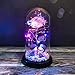 Produktbild ALLOMN 24K Gold Plated Rose, The Beauty and The Beast Rose Colorful Luminous Rose with Glass Lampshade Strip Light Gift for Valentine's Day Mother's Day Christmas Birthday (C)