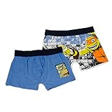 Turtles Boxershorts 2er Pack 