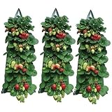 Hanging Strawberry Planter, Upside Down Patio Garden Tomato Planter Bags, Hanging Strawberry Plant Grow Bags, Sturdy Hanging Handle Thickened Aeration Fabric for Tomato Hot Peppers Vegetables