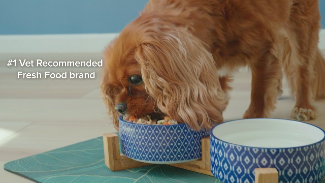 JustFoodForDogs JustFresh Wet Dog Food, Fresh Pet Meals and Toppers with No  Preservatives, Resealable Package, Human Grade, Home-Cooked Chicken, 12 oz  - 7 Pack: Pet Supplies: Amazon.com