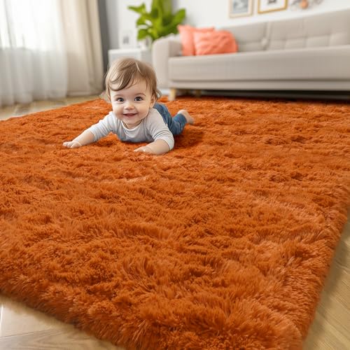 Amdrebio Burnt Orange Area Rugs for Living Room Bedroom, 6x9 Shaggy Furry Fuzzy Fluffy Rug for Kids Room Decor Aesthetic, Large Cute Plush Shag Dark Orange Carpet for Nursery Dorm Classroom Playroom