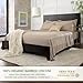 Queen Sheets by Pure Bamboo, Genuine 100% Organic Viscose Derived from Bamboo Bed Sheet Set, Luxuriously Soft & Cooling, Double Stitching, Lifetime Quality Promise (Queen, Sand)