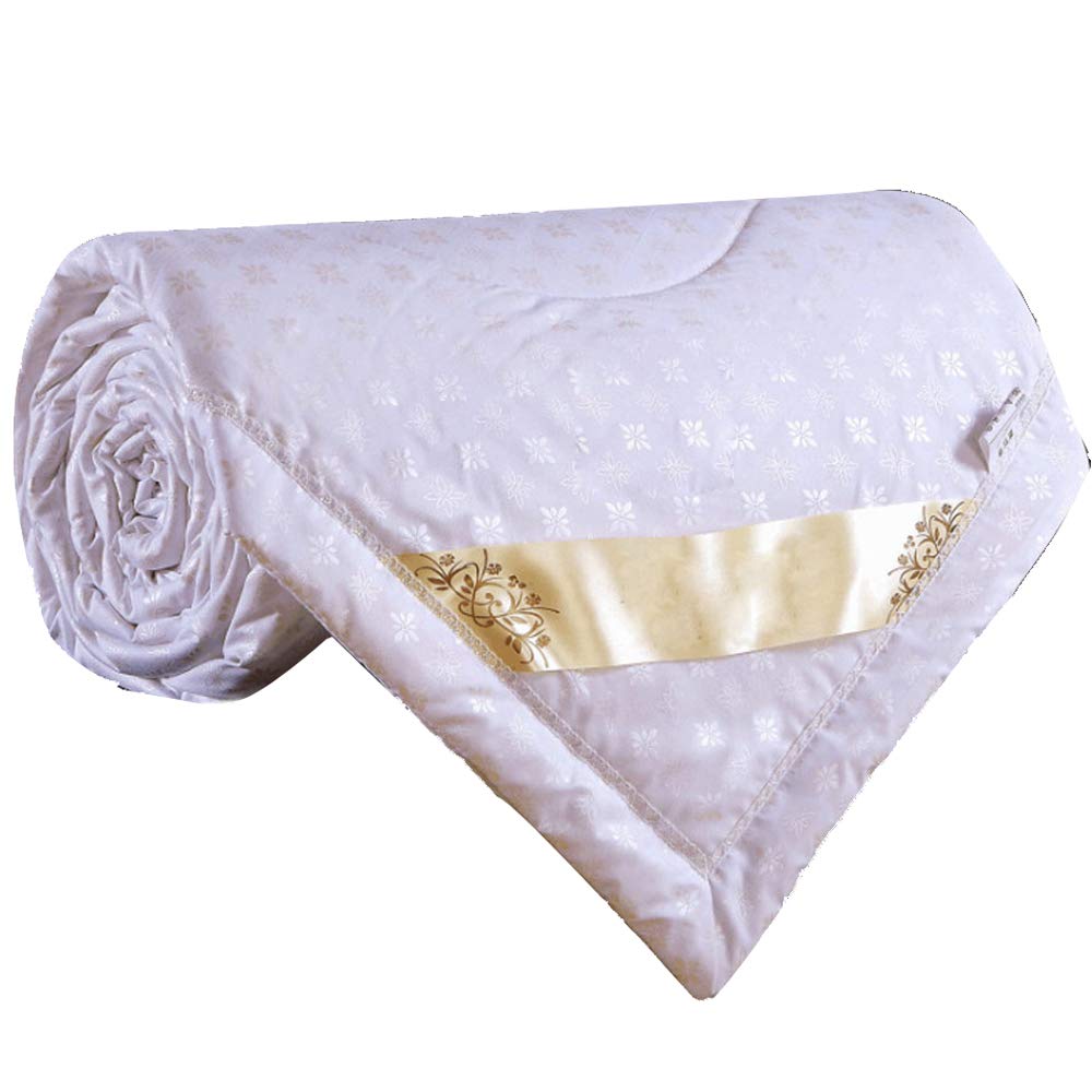 RuiHome Lightweight Thin Duvet Insert for Summer Autumn (79x91, White)