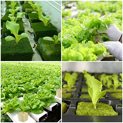 Legigo 1 Inch Rockwool Cubes Seed Starter Plugs for Hydroponics, RockWool Planting Grow Cubes for Hydroponic Tower Garden Soilless Cultivation Plants Germination Cutting Clone (2 Sheet, 100 Plugs) - Image 7