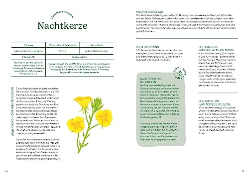 Heilen mit pflanzlichen Antibiotika: Mit 200 Rezepturen für Ihre Gesundheit. Kräutermedizin für starke Abwehrkräfte