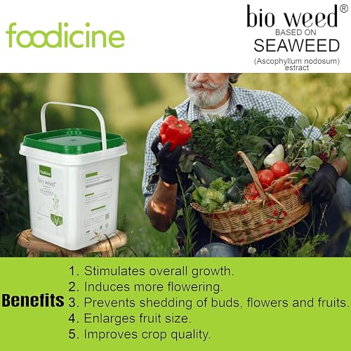 Image of Bio Weed 5 KG - Seaweed Extract Granules Premium Plant Fertilizer and Growth Promoter for All Types of Plants