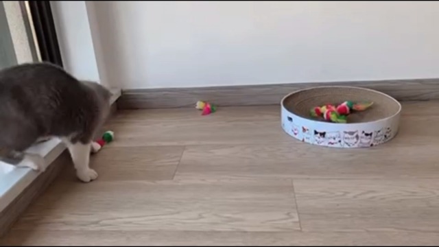 Topini Di Peluche Per Gatti - 10 Pezzi Colorati Con Coda Di Piume - Giocattoli Interattivi - Foto 12